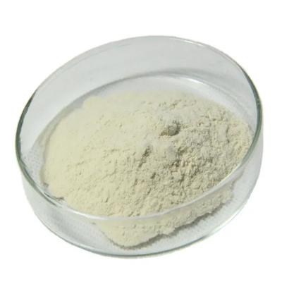 Maltodextrin DE:10-12 CAS NO.9050-36-6
    